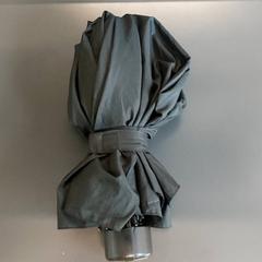 Paraplu - Zwart, zoals gemeld door Centraal magazijn met iLost