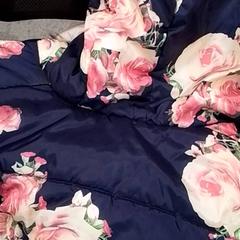 Bunda, ako bolo nahlásené Qbuzz Fryslân pomocou iLost