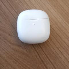 Oortjes، كما تم الإبلاغ عنه بواسطة DierenPark Amersfoort عبر iLost