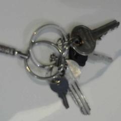 Gakoa, gisa salatu by Relais Azalys iLost erabiliz