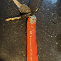 Sleutelbos met diverse sleutels an iLost gemeldet