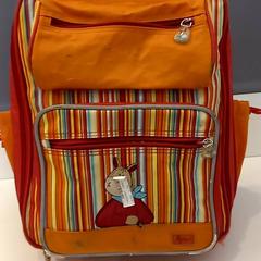 Maleta, segundo informou Arriva Limburg Noord usando iLost