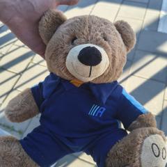 Knuffelbeer knuffel beer Action, ha sido reportado a iLost