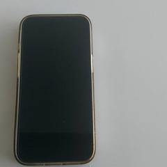 Okostelefon - Moesen Apple, amint azt Regio Limburg - Leuven az iLost segítségével jelentette.