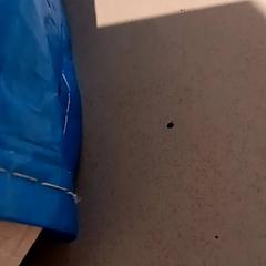 Bag, as reported by De Efteling using iLost