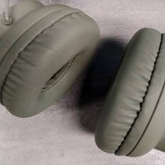 Entzungailuak Groene, gisa salatu by Arriva Friesland / Groningen iLost erabiliz