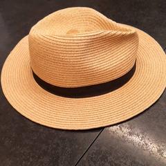 Chapeau, a été signalé par Rotterdam The Hague Airport utilisant iLost