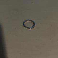 반지 Zilverkleurige, iLost를 사용하여 Jaarbeurs에 보고됨