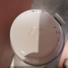 Gourde, come riportato da TCL utilizzando iLost