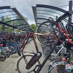 Rower Sparta Rood met Beige, zgłoszono przez Gemeente Barneveld przy użyciu iLost