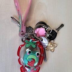 Keys, as reported by Connexxion Haarlem IJmond using iLost