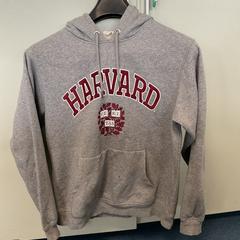 Felpa Grijs Harvard mt S, come riportato da Breng Arnhem utilizzando iLost