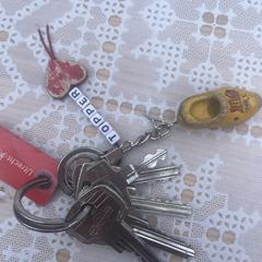 Sleutelbos, gerapporteerd met iLost