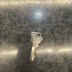 Clave Silver, segundo informou Rotterdam The Hague Airport usando iLost