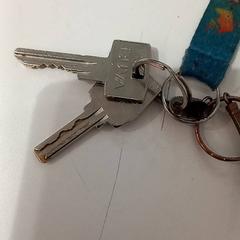 المفاتيح، كما تم الإبلاغ عنه بواسطة allGo Almere عبر iLost