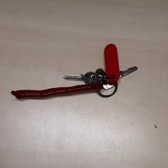 Urządzenie, zgłoszono przez Arriva Oost-Brabant przy użyciu iLost