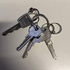 Klucze, zgłoszono przez St. Antonius Ziekenhuis Nieuwegein przy użyciu iLost