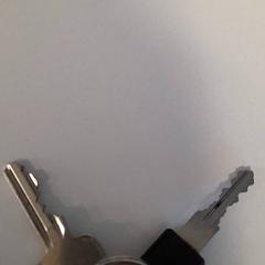 Sleutel, zoals gemeld door Dolfinarium met iLost