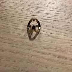 Sieraden, ako bolo nahlásené Poppodium 013 pomocou iLost