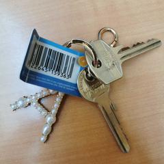 Sleutelbos, rapporterat av Gemeente Zutphen med iLost