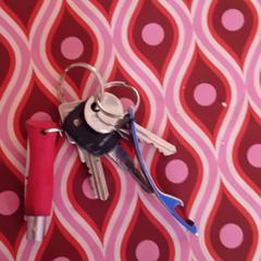 Sleutelbos an iLost gemeldet