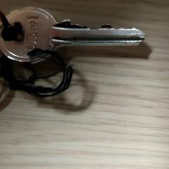 Sleutels, gemeldet von Centraal magazijn über iLost