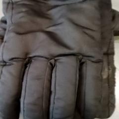 Gloves, as reported by Qbuzz GD Groningen HS using iLost
