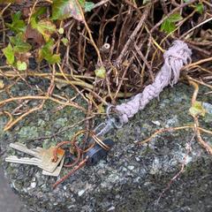 Keys Henk Sneevlietweg, som rapportert til iLost