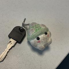 Clau, segons ha informat Breng Arnhem mitjançant iLost