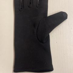 Rękawica, zgłoszono przez GVB przy użyciu iLost