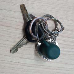 Klíčenka, jak nahlášeno Arriva West-Brabant pomocí iLost