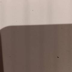 Mazlící hračka, jak nahlášeno De Efteling pomocí iLost