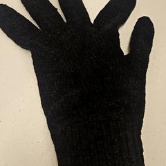 Gants, a été signalé par GVB utilisant iLost