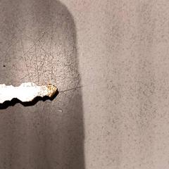 Chave bicicleta, como reportado por De Efteling utilizando o iLost