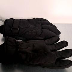 Gloves, as reported by Keolis Lund using iLost