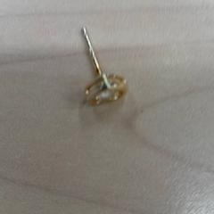 Øredobb ore, as reported by IKEA Leangen using iLost