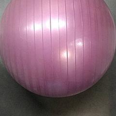 Fitnes jogabal, gemeldet von IKEA Gent über iLost