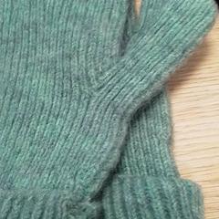 Gloves Groen, as reported by Qbuzz Fryslân using iLost