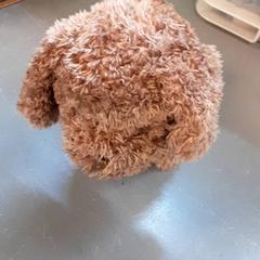 Mazlící hračka, jak nahlášeno Diergaarde Blijdorp pomocí iLost