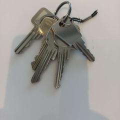 열쇠 Sleutels, iLost를 사용하여 Arriva Limburg Zuid에 보고됨