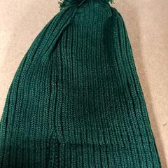 Beanie Groen, gemeldet von Qbuzz GD Groningen Peizerweg über iLost