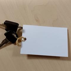 Klucze, zgłoszono przez Regio Oost-Vlaanderen przy użyciu iLost