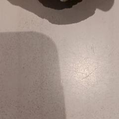 Knuffel, gemeldet von De Efteling über iLost