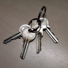 Chaves, como reportado por Arriva Oost-Brabant utilizando o iLost