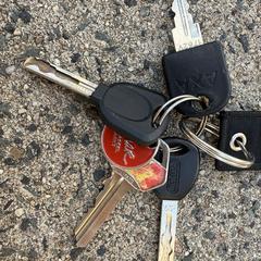 Sleutelbos, iLost에 보고됨