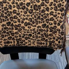 İLost kullanarak Pathé Zwolle tarafından bildirildiği gibi Şal