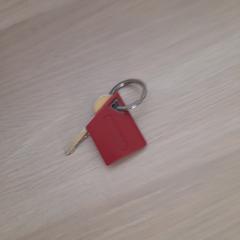 Keys, as reported by IKEA Praha – Zličín using iLost