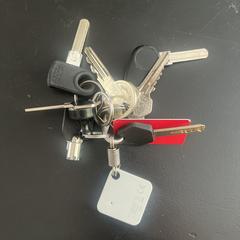 Sleutelbos aan de Kardinaal de Jong weg a été signalé sur iLost