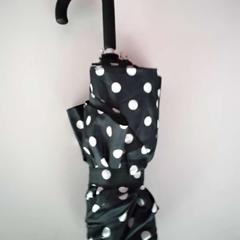 Umbrella, as reported by Twisto using iLost