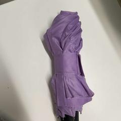 Parasol paars, zgłoszono przez Regio Oost-Vlaanderen przy użyciu iLost